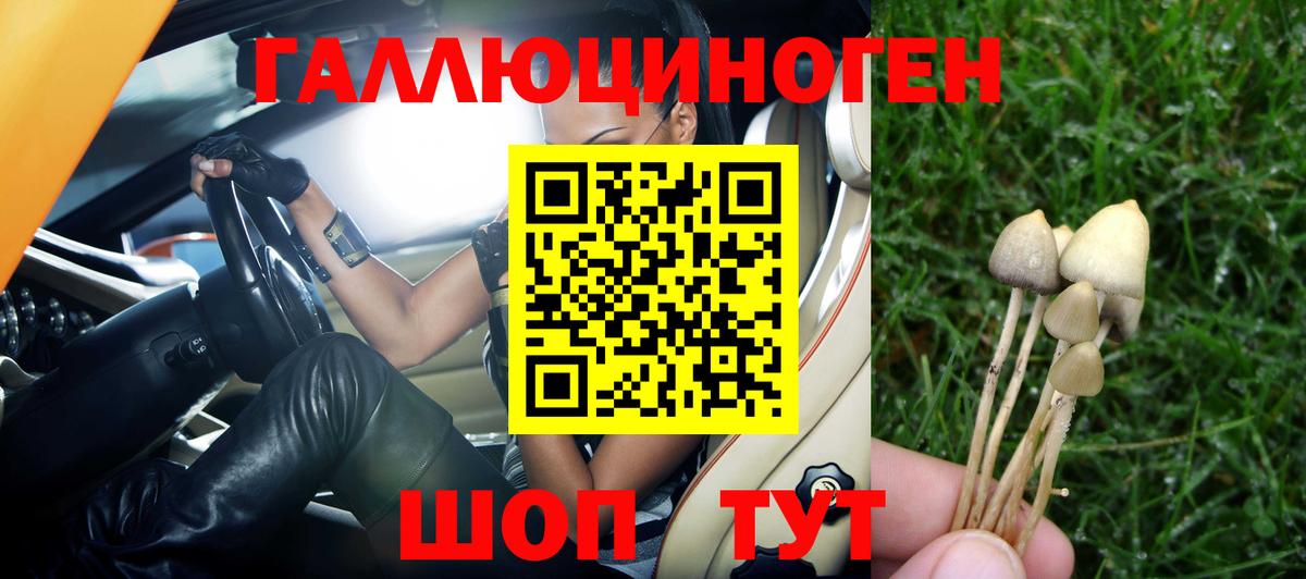 Псилоцибиновые грибы Psilocybine cubensis Десногорск