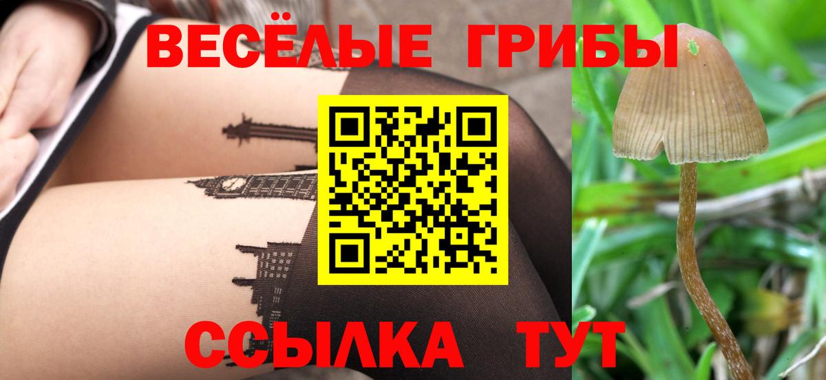 Десногорск  Галлюциногенные грибы Magic Shrooms  Вход с VPN 
